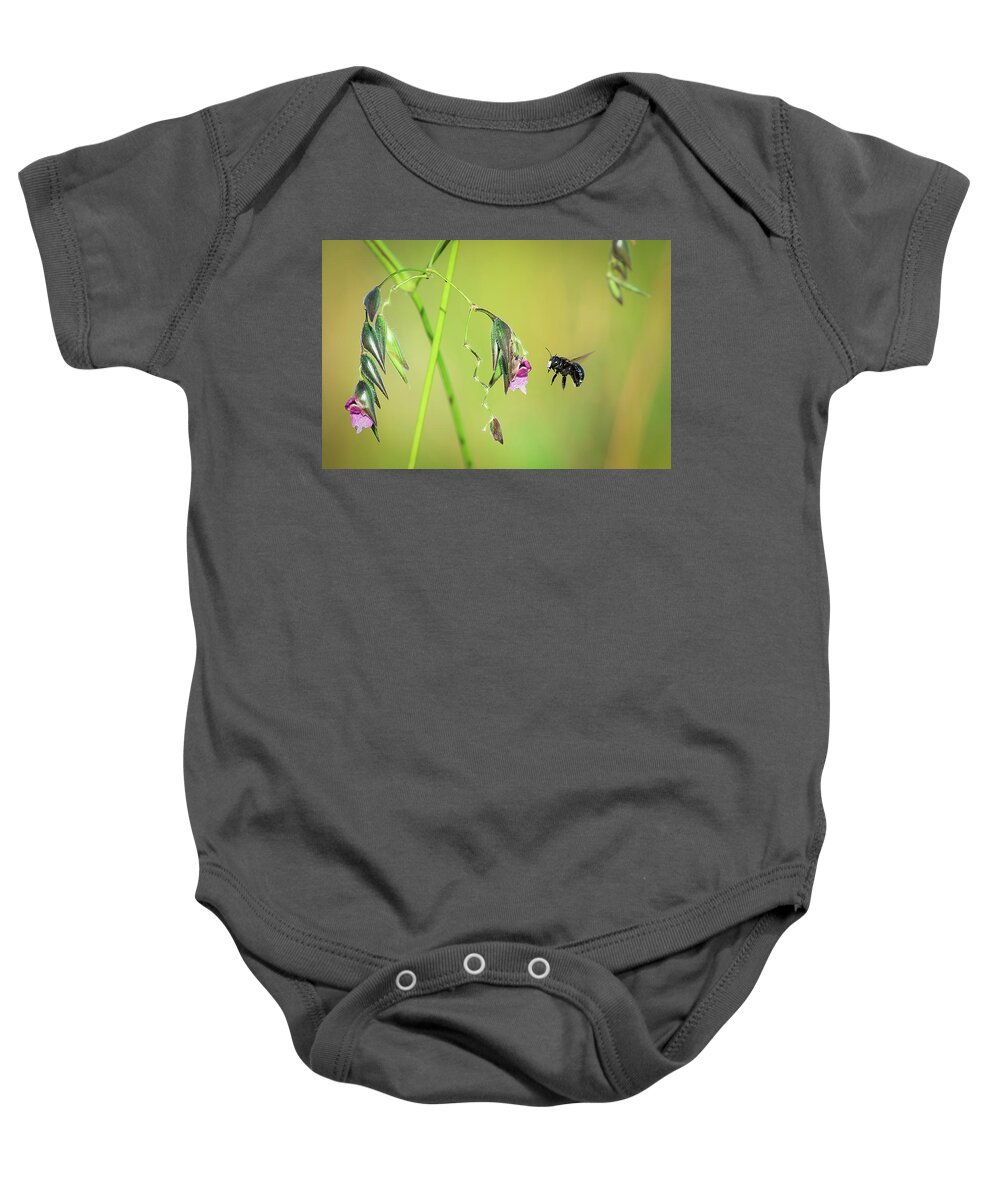 White Baby Onesie featuring the photograph White-Faced Bee by Richard Goldman