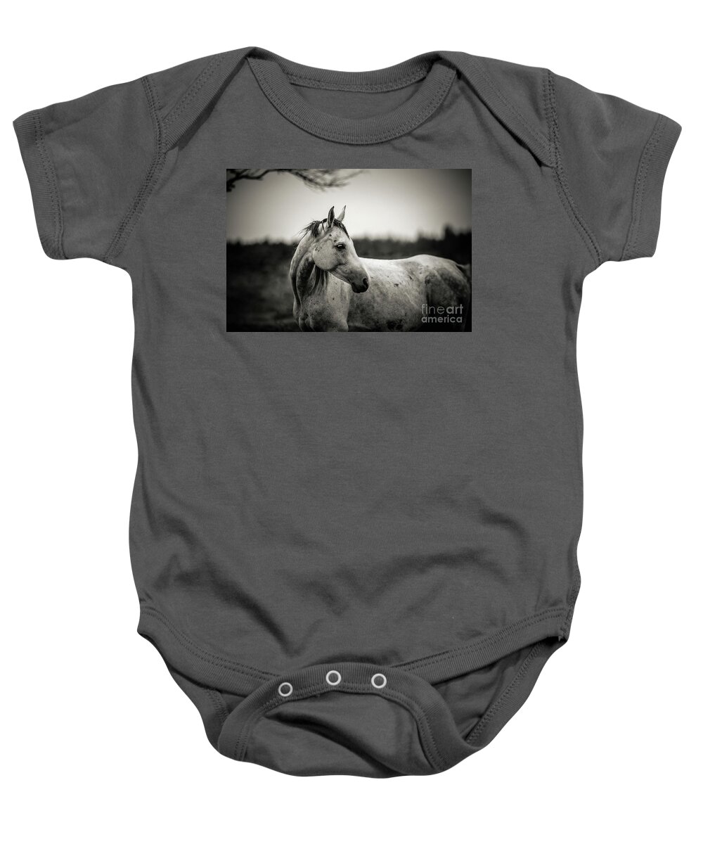 Horse Baby Onesie featuring the photograph White horse autumn portrait by Dimitar Hristov
