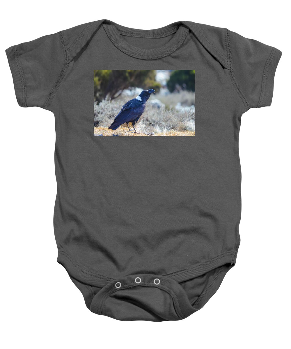 Africa Baby Onesie featuring the photograph White-Necked Raven Camping Out on Kilimanjaro by Jeff at JSJ Photography