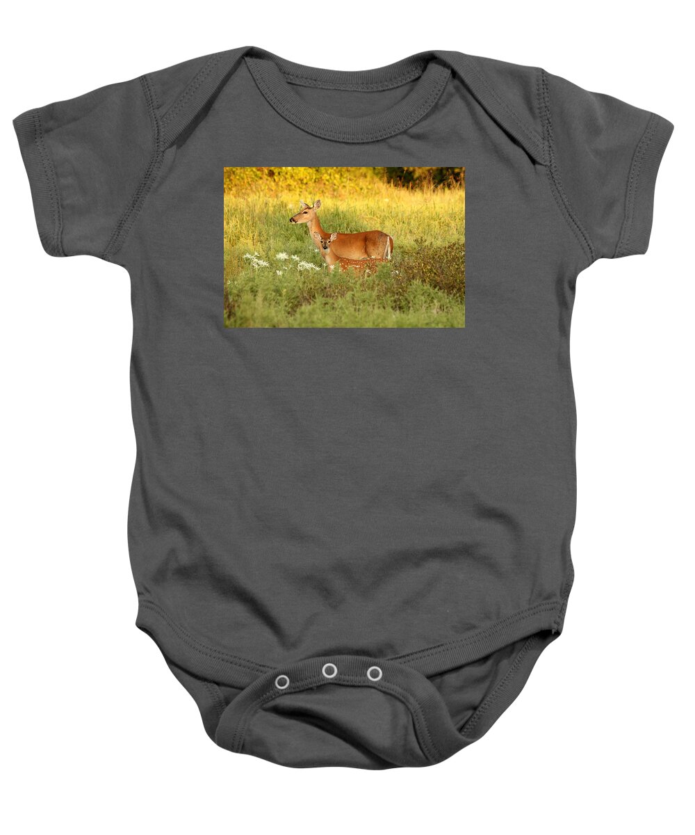 Nature Baby Onesie featuring the photograph White-Tail Doe and Fawn in Meadow by Sheila Brown