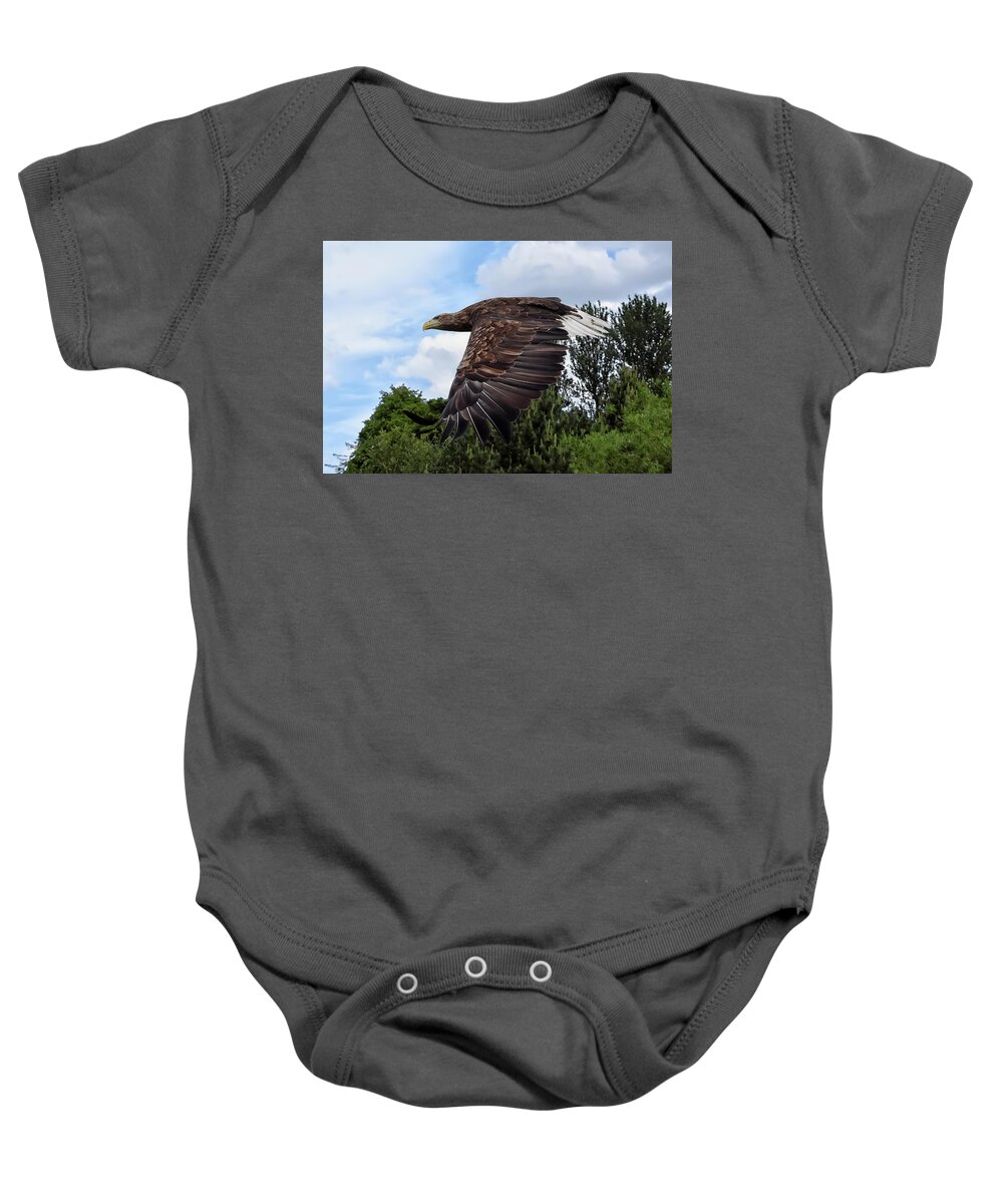 Sea Eagle Baby Onesie featuring the photograph White Tailed Eagle by Kuni Photography