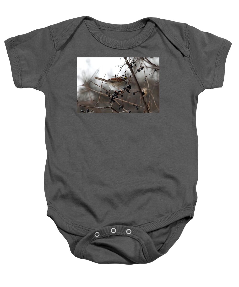 Sparrow Baby Onesie featuring the photograph White Throated Sparrow by Debbie Oppermann