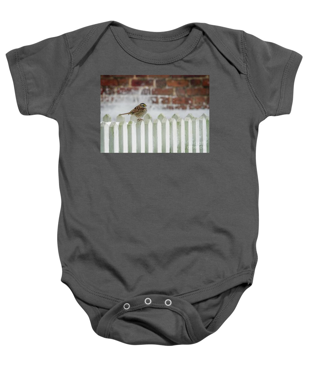 White Throated Sparrow On The Fence Baby Onesie featuring the photograph White Throated Sparrow on the Fence by Karen Jorstad