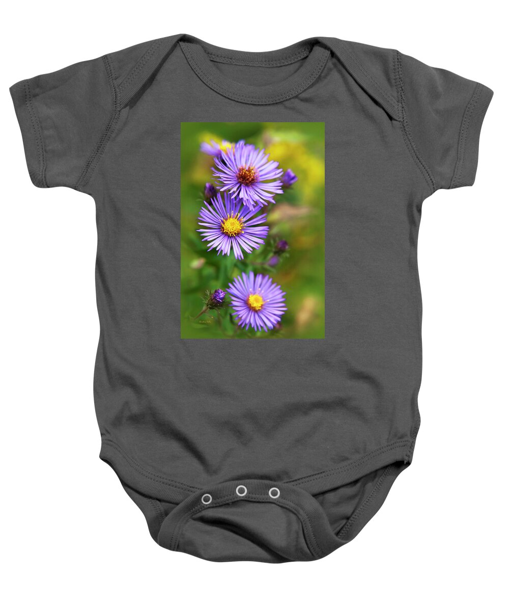 Wildflowers Baby Onesie featuring the photograph Wild Aster Trio by Christina Rollo