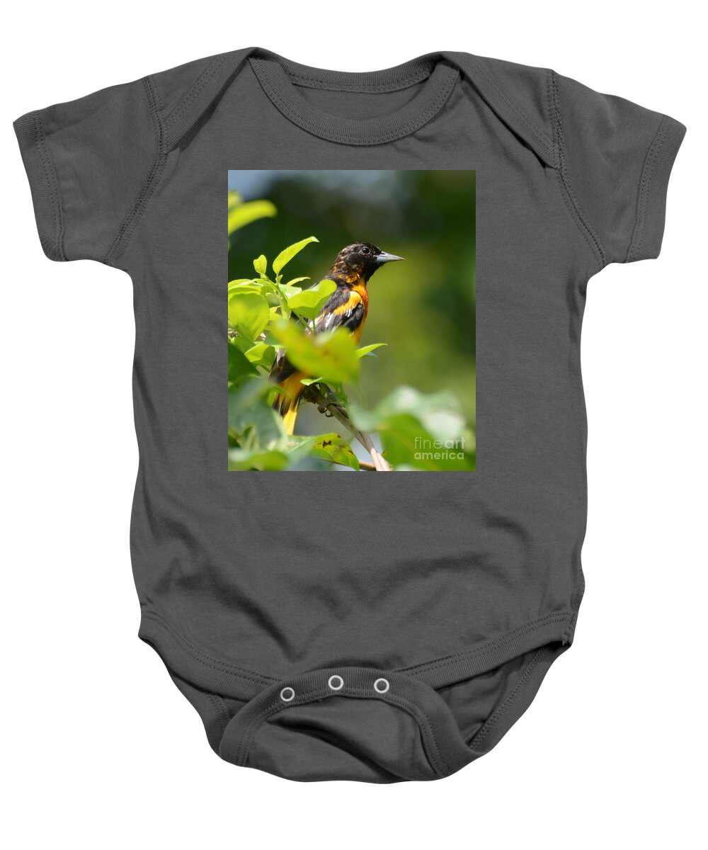 Baltimore Oriole Baby Onesie featuring the photograph Wild Birds - Baltimore Oriole by Kerri Farley