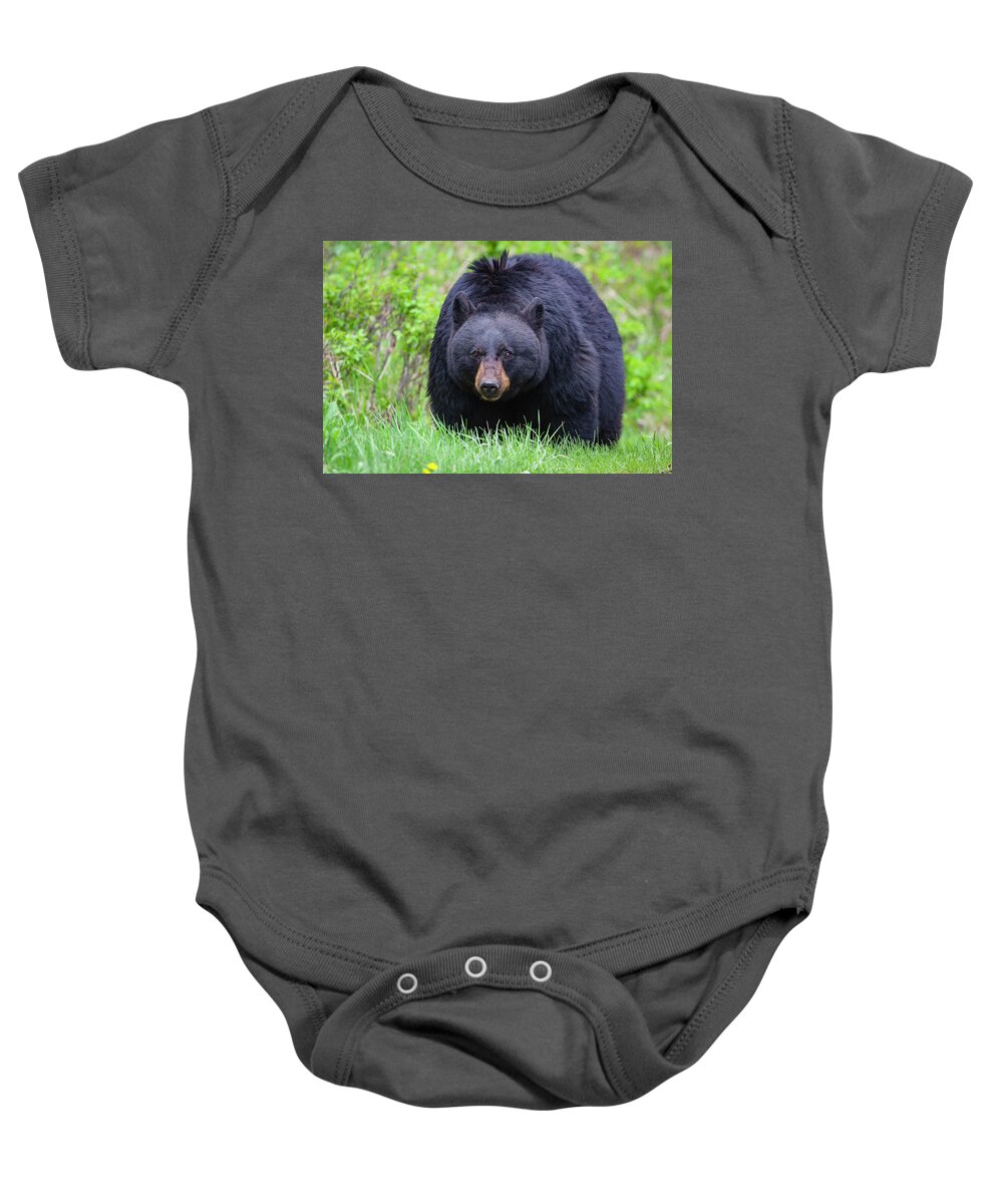 Mark Miller Photos Baby Onesie featuring the photograph Wild Black Bear by Mark Miller