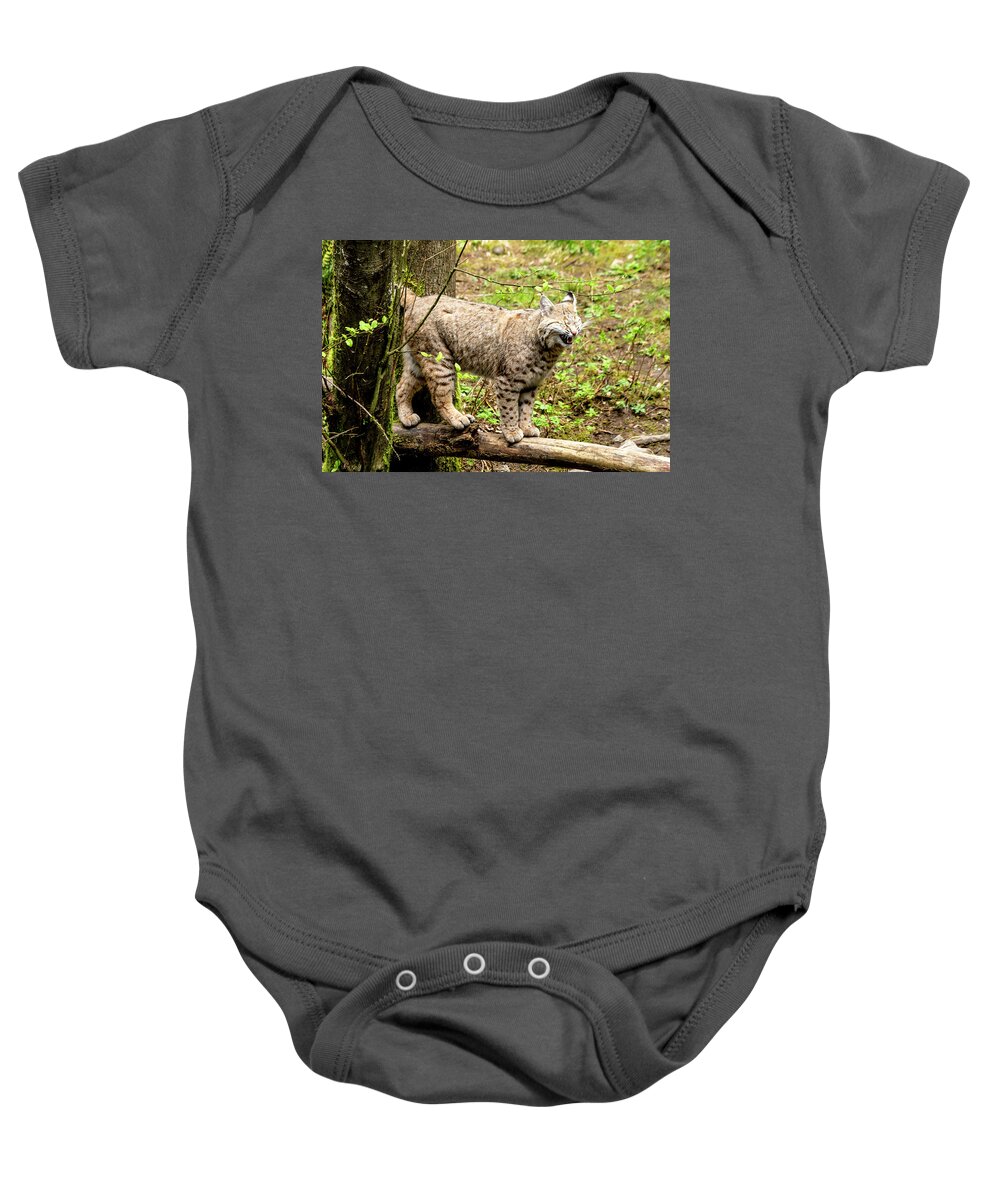 Animal Baby Onesie featuring the photograph Wild Bobcat in Mountain Setting by Teri Virbickis
