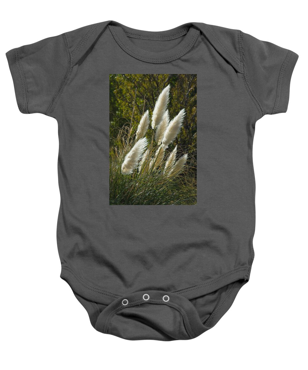 Zion National Park Baby Onesie featuring the photograph Wild Grasses by Harry Spitz