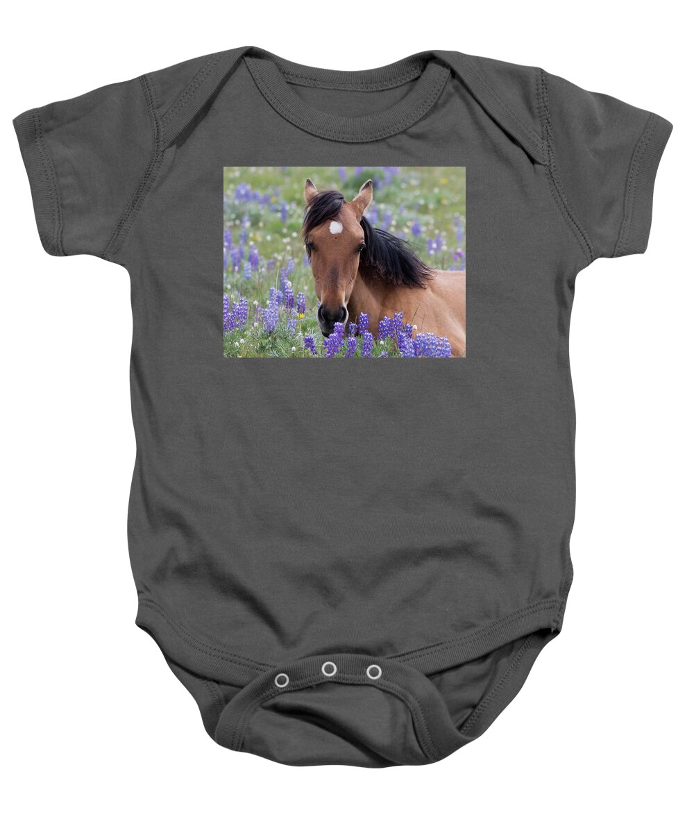 Wild Horse Baby Onesie featuring the photograph Wild Horse Among Lupines by Mark Miller