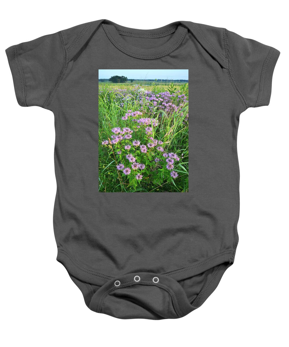 Black Eyed Susan Baby Onesie featuring the photograph Wildflower Bouquet in Glacial Park by Ray Mathis