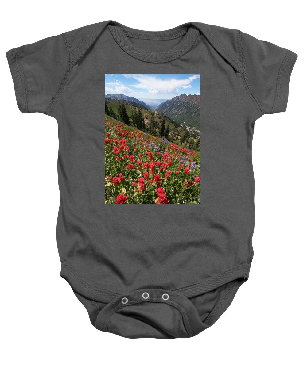 Landscape Baby Onesie featuring the photograph Wildflowers and View Down Canyon by Brett Pelletier