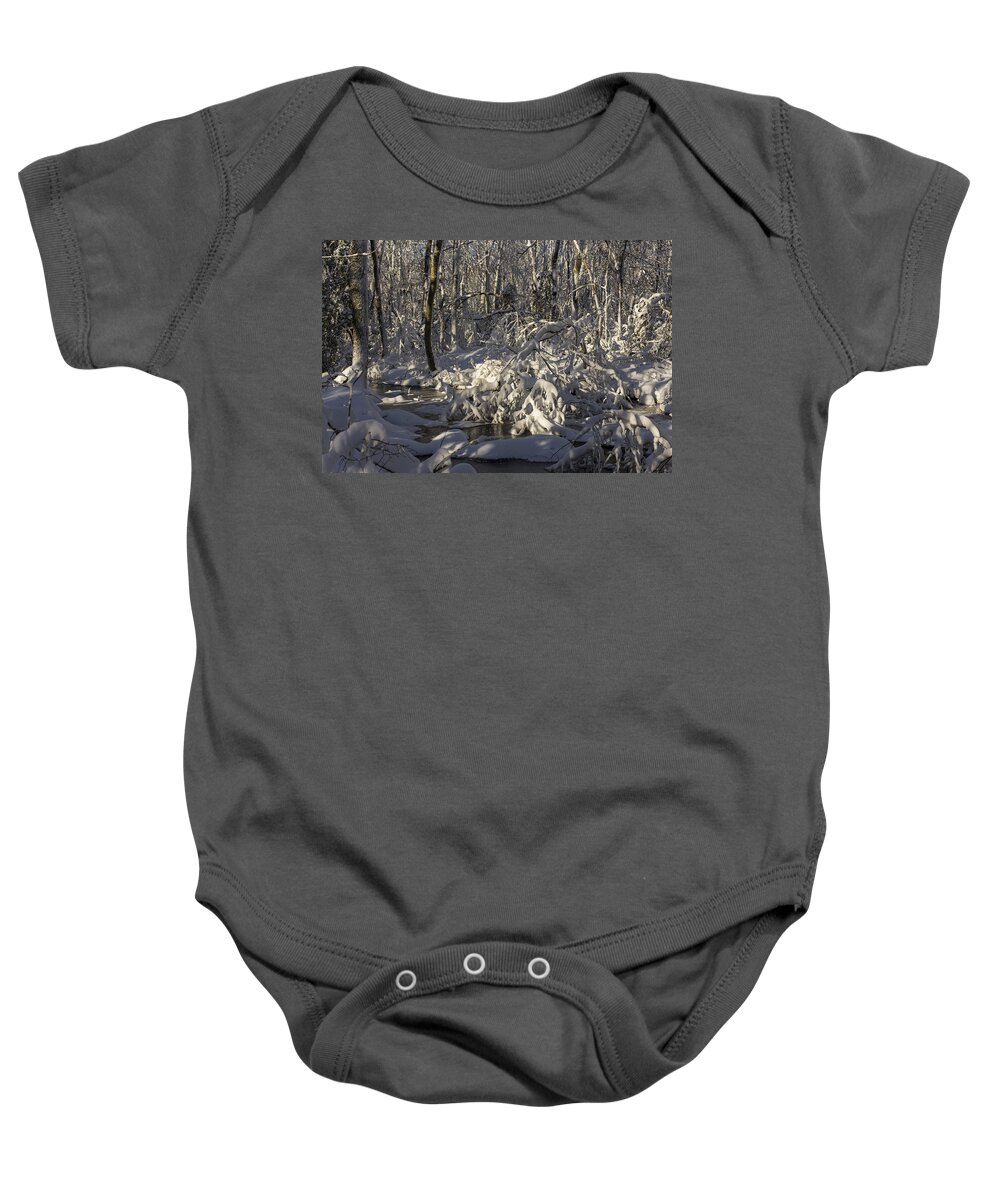 Andrew Pacheco Baby Onesie featuring the photograph Winter at Borden Brook by Andrew Pacheco