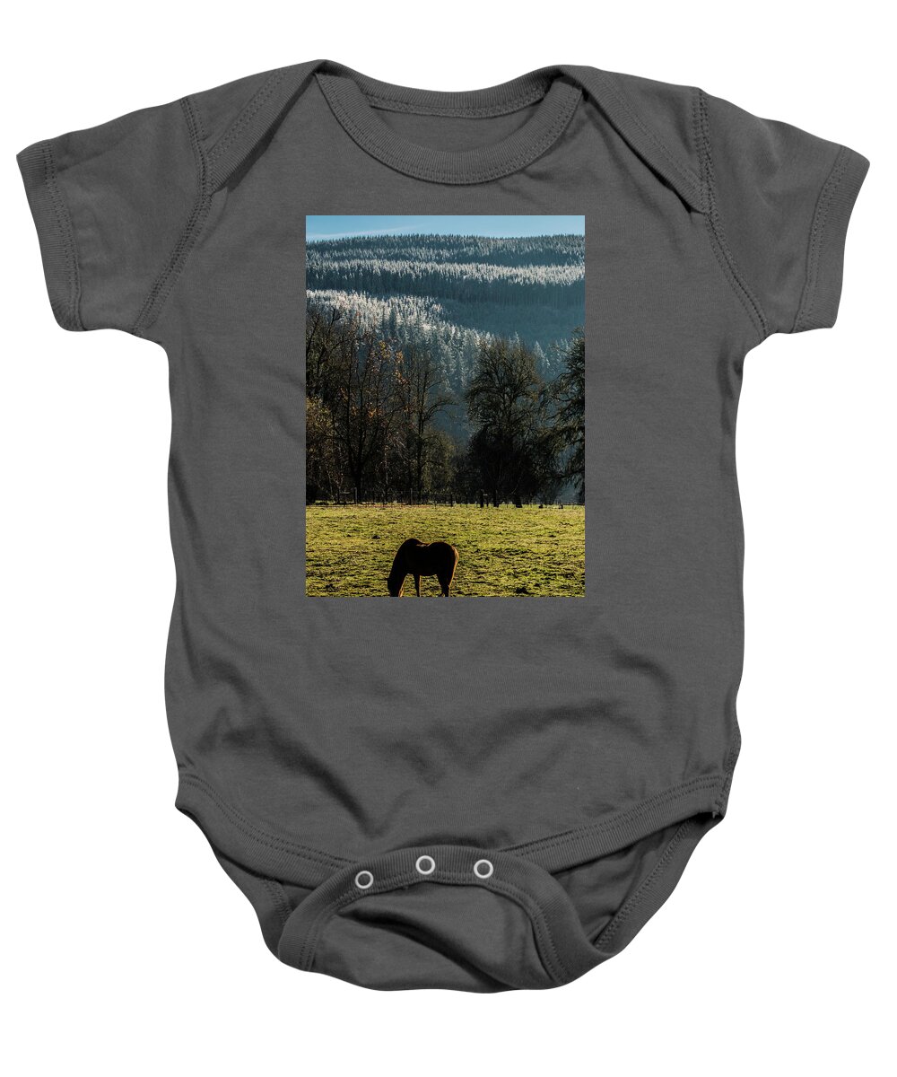 Horse Baby Onesie featuring the photograph Winter Coming Down by Laddie Halupa