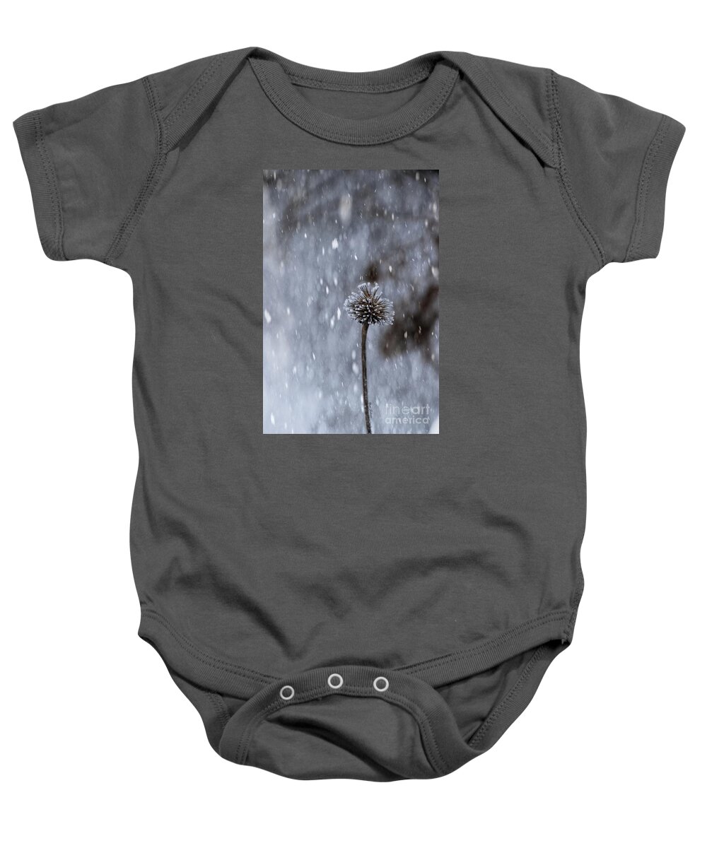 Snow Baby Onesie featuring the photograph Winter flower by Yumi Johnson