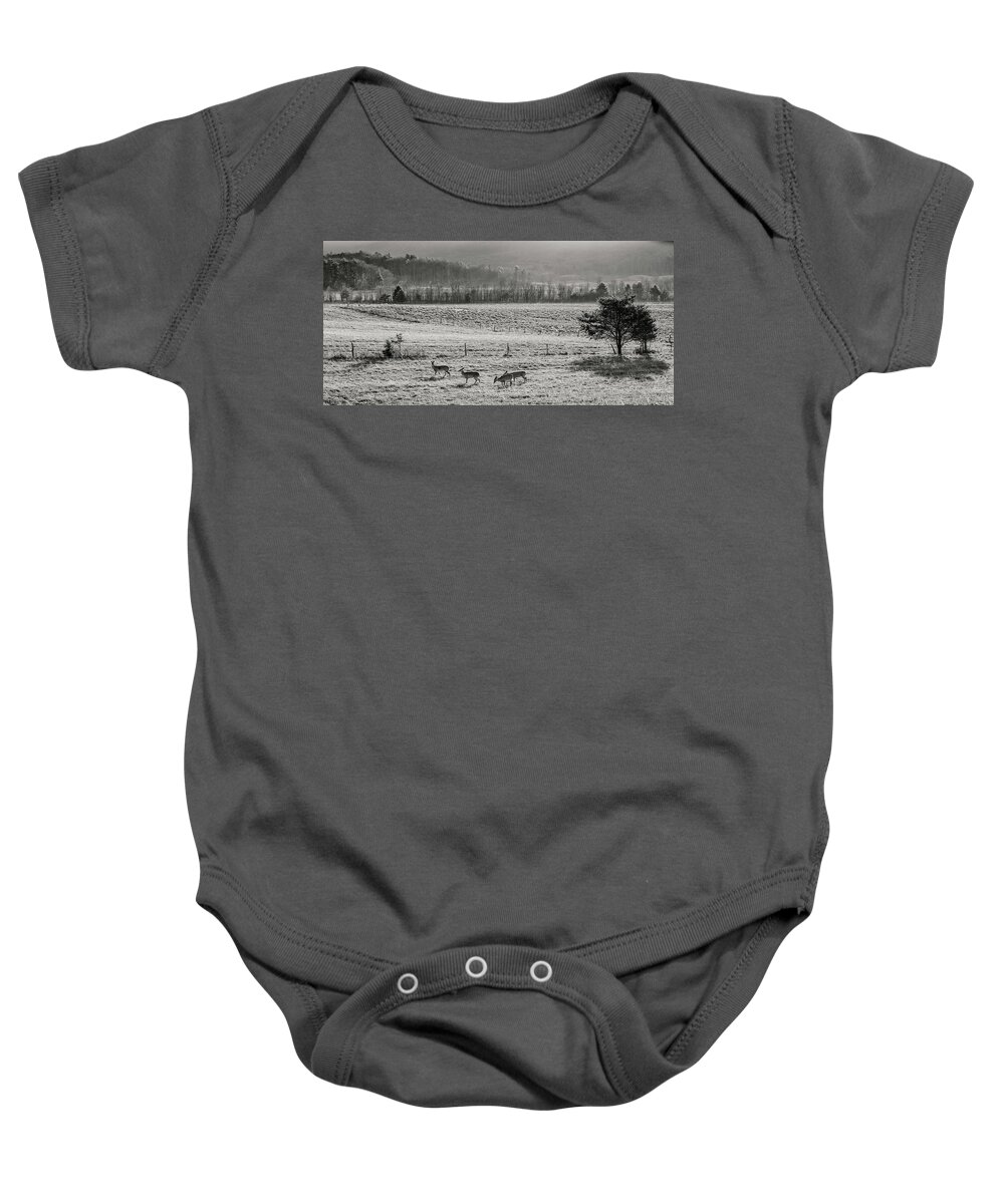 Winter Baby Onesie featuring the photograph Winter Morning Moment by Randall Evans