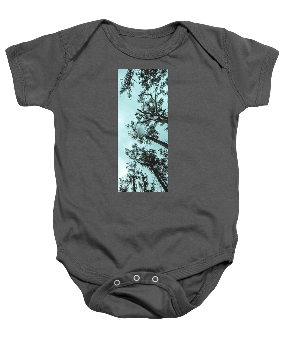 Tree Baby Onesie featuring the photograph Winter woods by Jorgo Photography