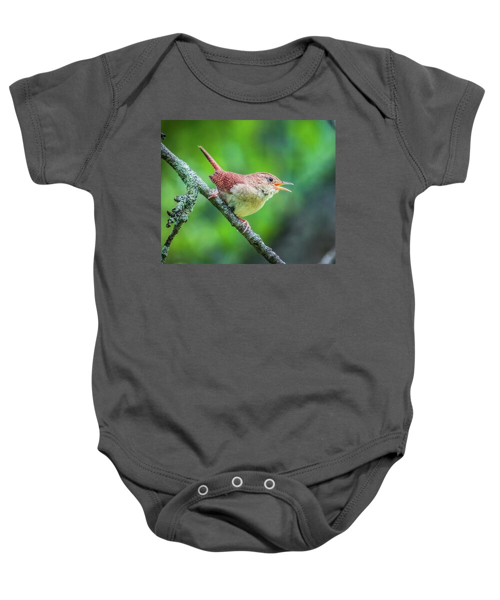 Winter Wrens Baby Onesie featuring the photograph Winter Wrens Bird by Lilia S
