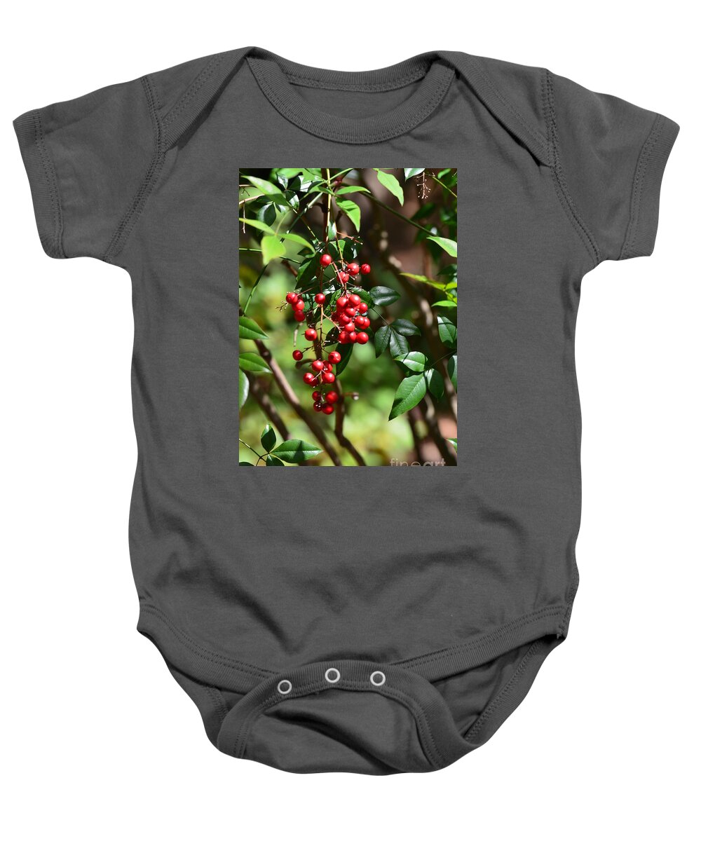 Red Berries Baby Onesie featuring the photograph Winterberry by Maria Urso