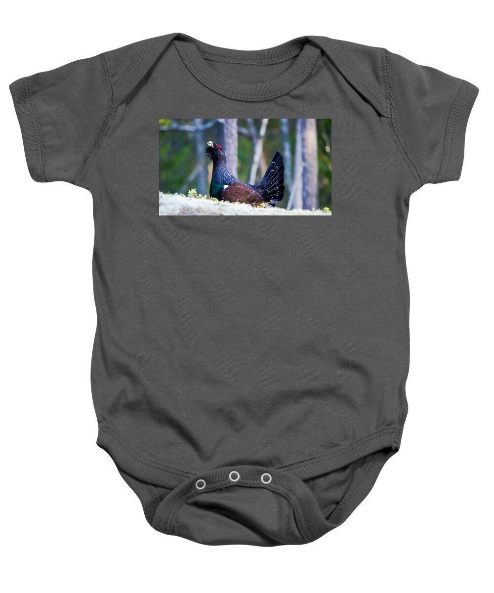 Wood Grouse Ws Baby Onesie featuring the photograph Wood grouse WS by Torbjorn Swenelius