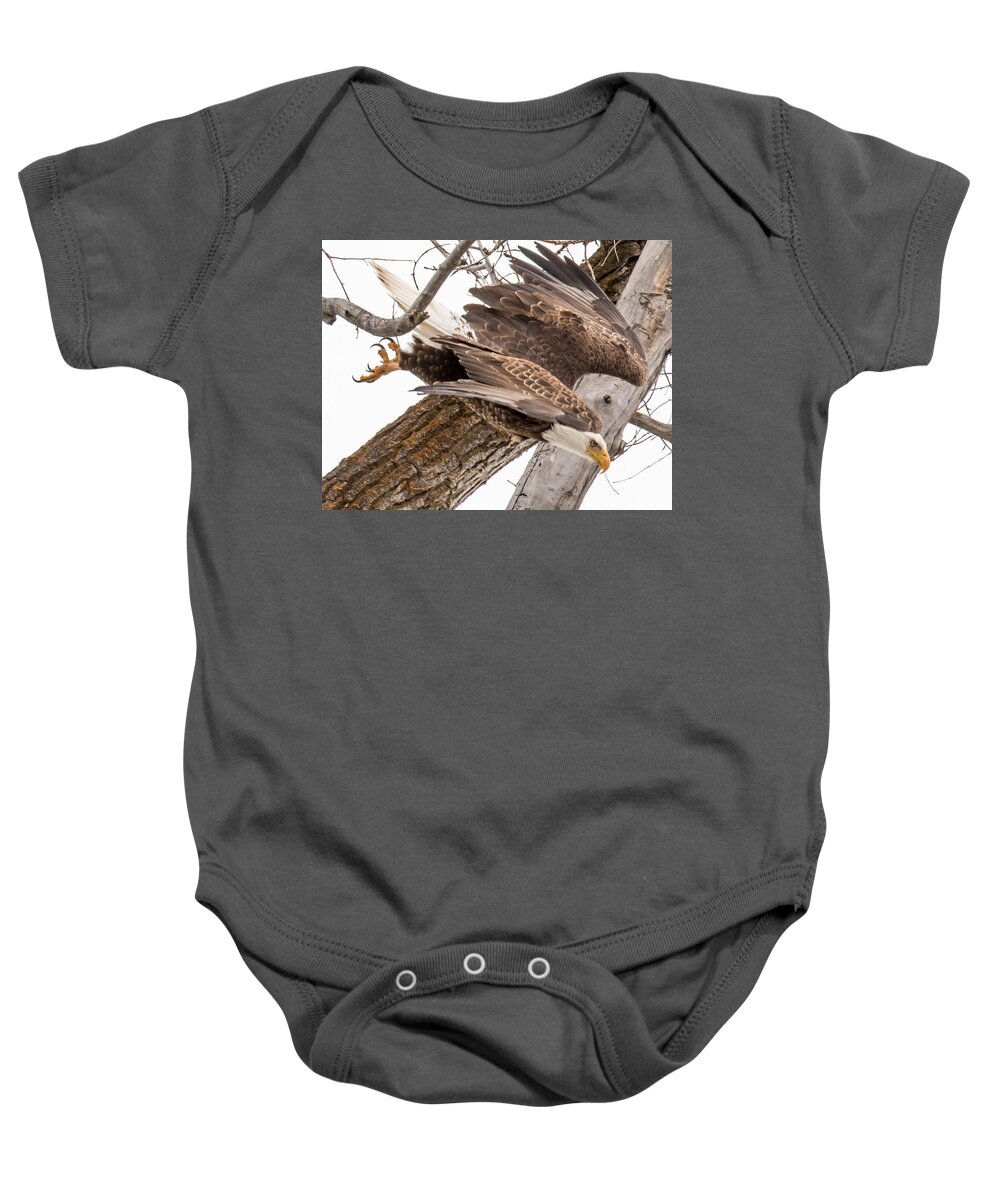 Wildlife Baby Onesie featuring the photograph Yampa Perch by Kevin Dietrich