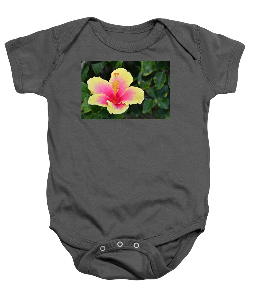 Flower Baby Onesie featuring the photograph Yellow and Pink Hibiscus 1 by Amy Fose
