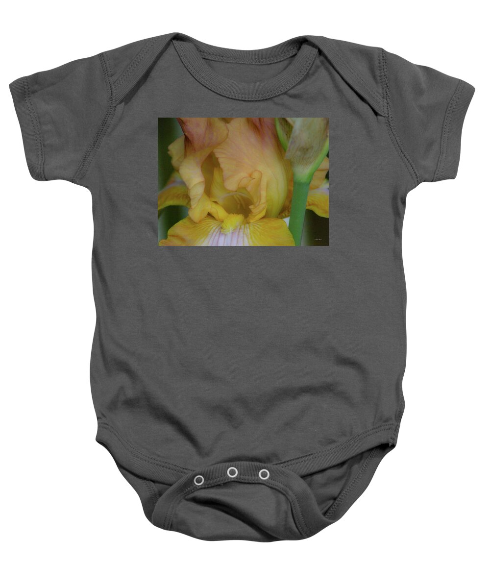 Home Décor Baby Onesie featuring the photograph Yellow Blush Iris 1284 H_2 by Steven Ward