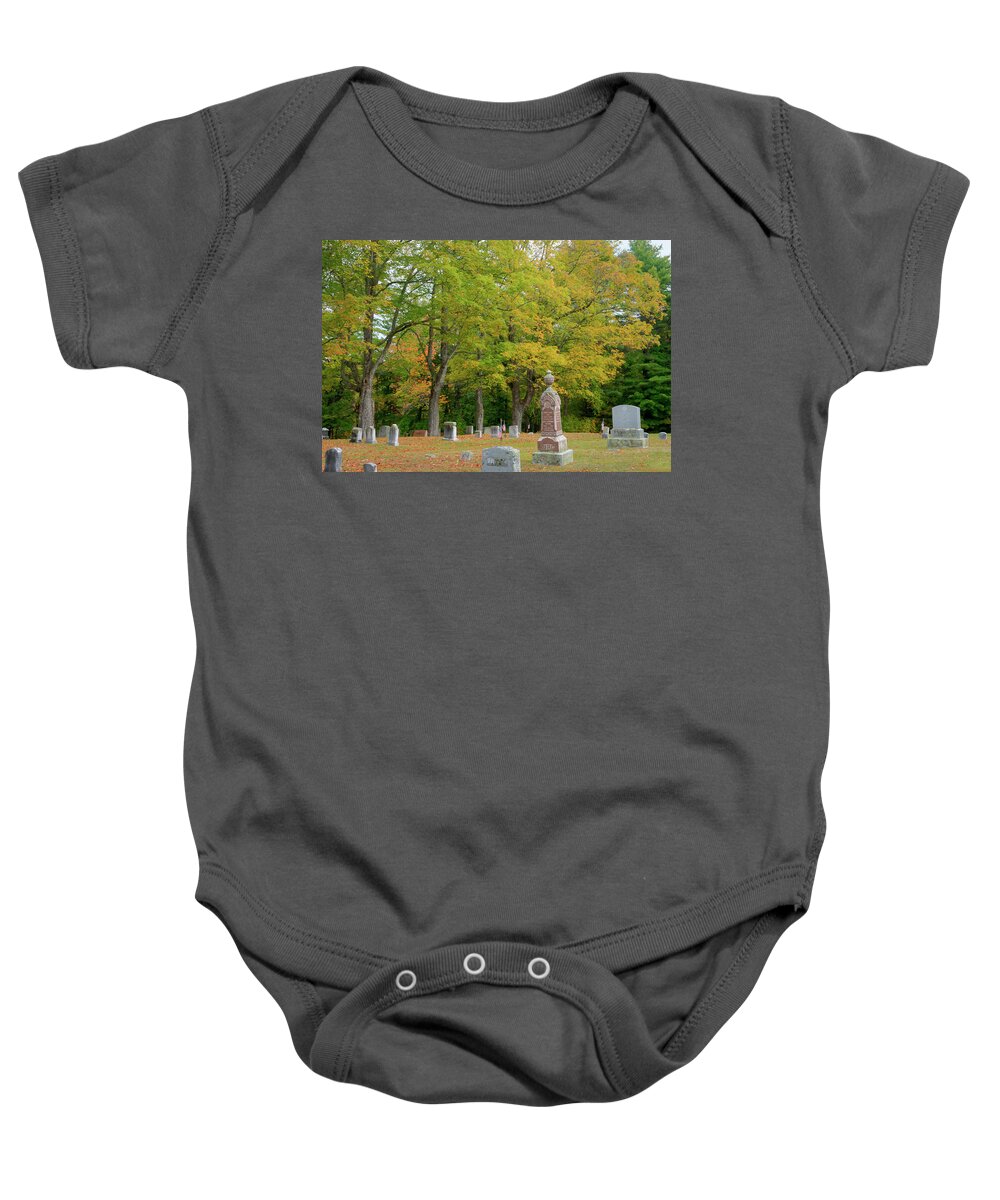 Auburn Baby Onesie featuring the photograph Yellow elms by Jane Luxton