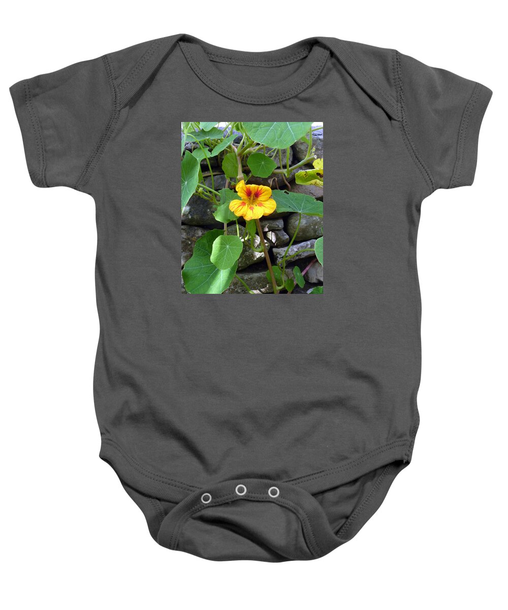 Nature Baby Onesie featuring the photograph Yellow flower by Lukasz Ryszka