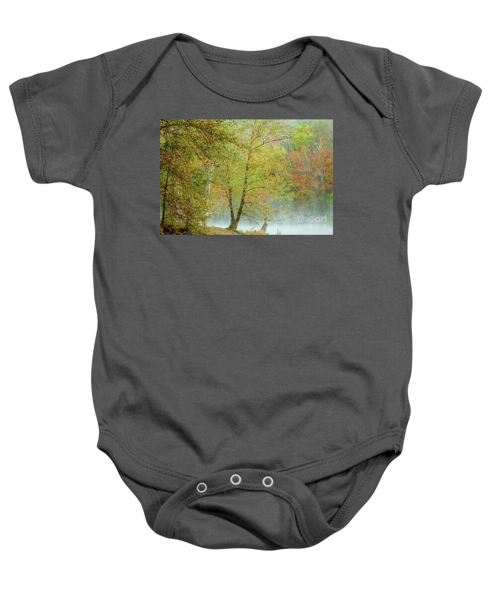 Landscape Baby Onesie featuring the photograph Yellow Trees by Iris Greenwell
