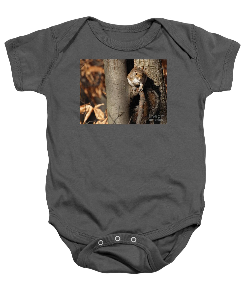 Nature Baby Onesie featuring the photograph You Putting Out The Seeds Today Or What by Dorothy Lee