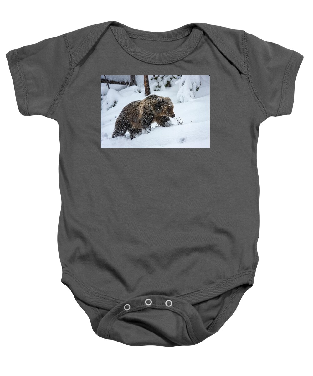 Mark Miller Photos Baby Onesie featuring the photograph Young Grizzly in Blizzard by Mark Miller