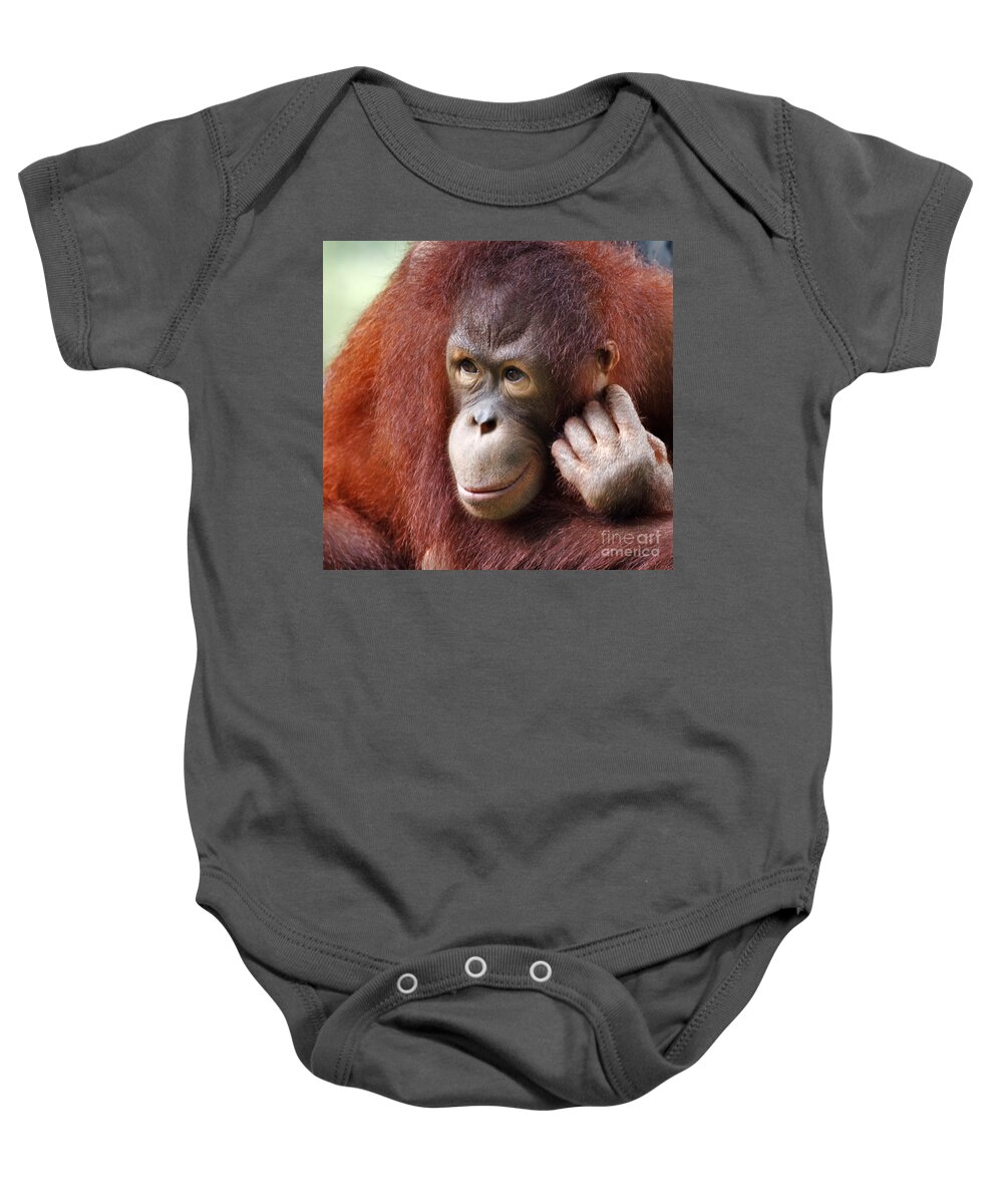 Animal Baby Onesie featuring the photograph Young Orang Utan Looking Thoughtful by Louise Heusinkveld
