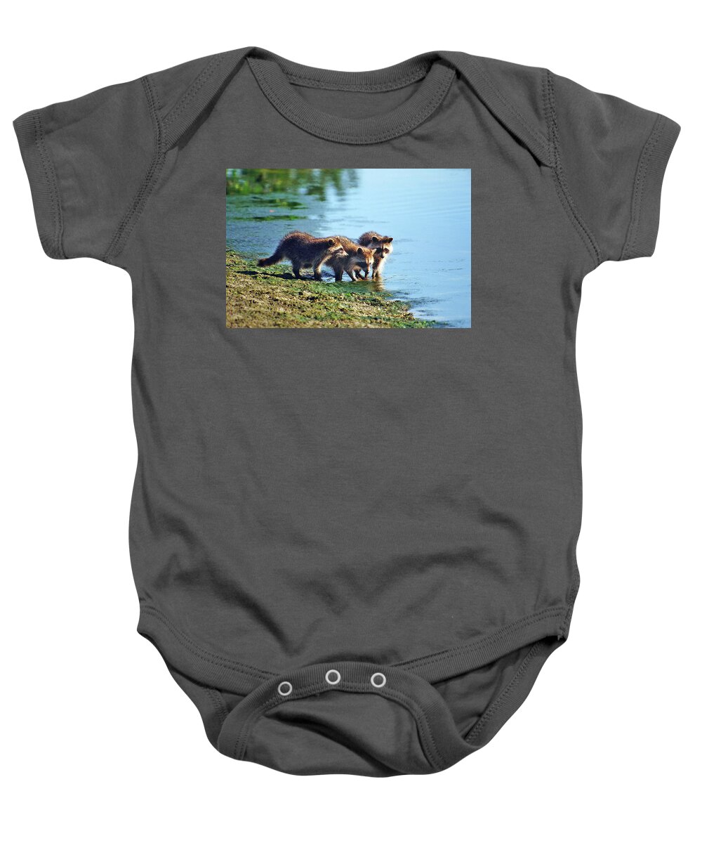 Raccoon Baby Onesie featuring the photograph Young Raccoons by Ted Keller