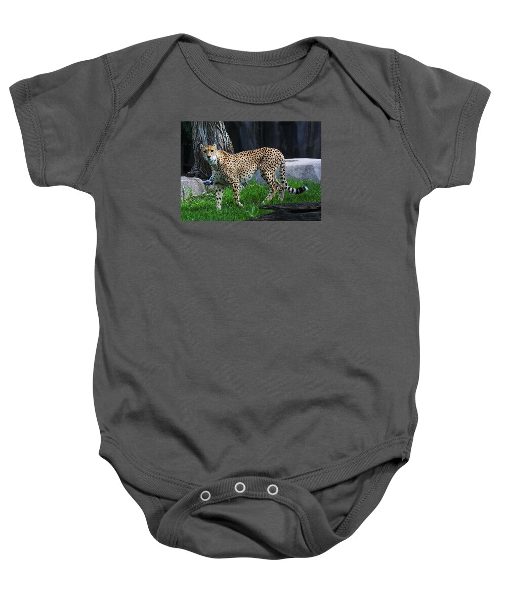 Zoo Baby Onesie featuring the photograph z by Jean Wolfrum