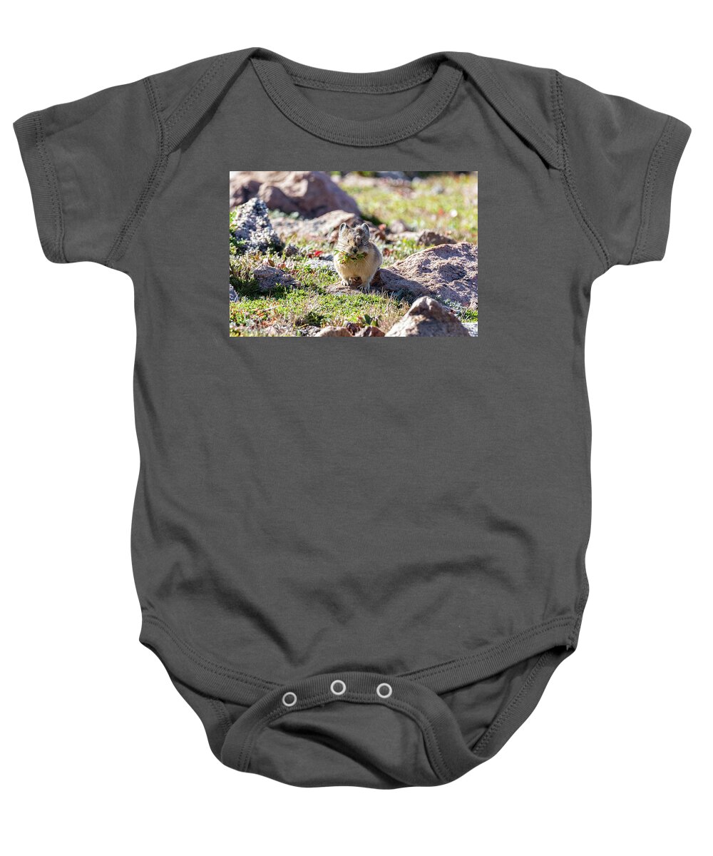 Pika Baby Onesie featuring the photograph American Pika with a Mouthful #1 by Tony Hake