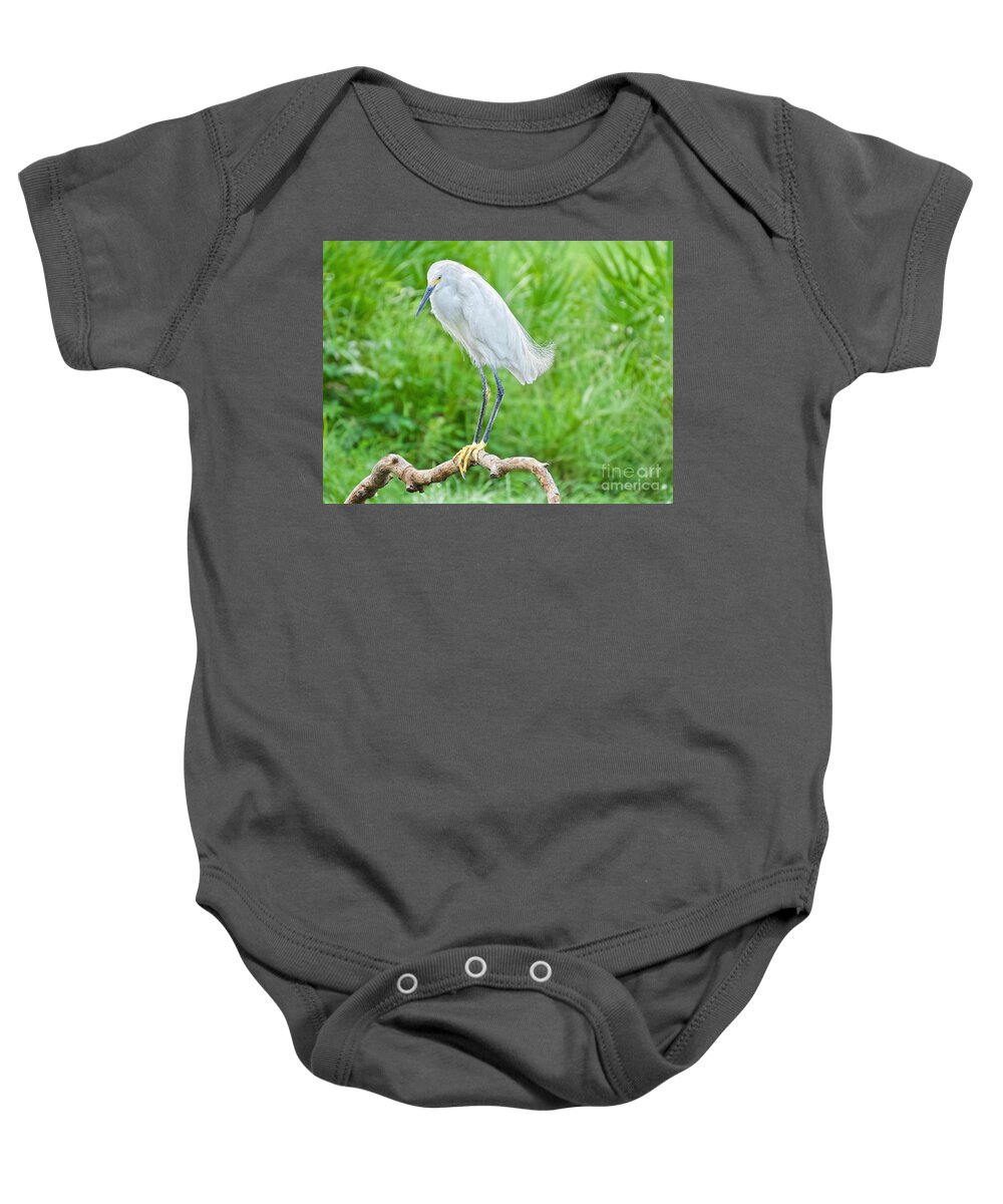 Birds Baby Onesie featuring the photograph Egret in the WIld #1 by Judy Kay