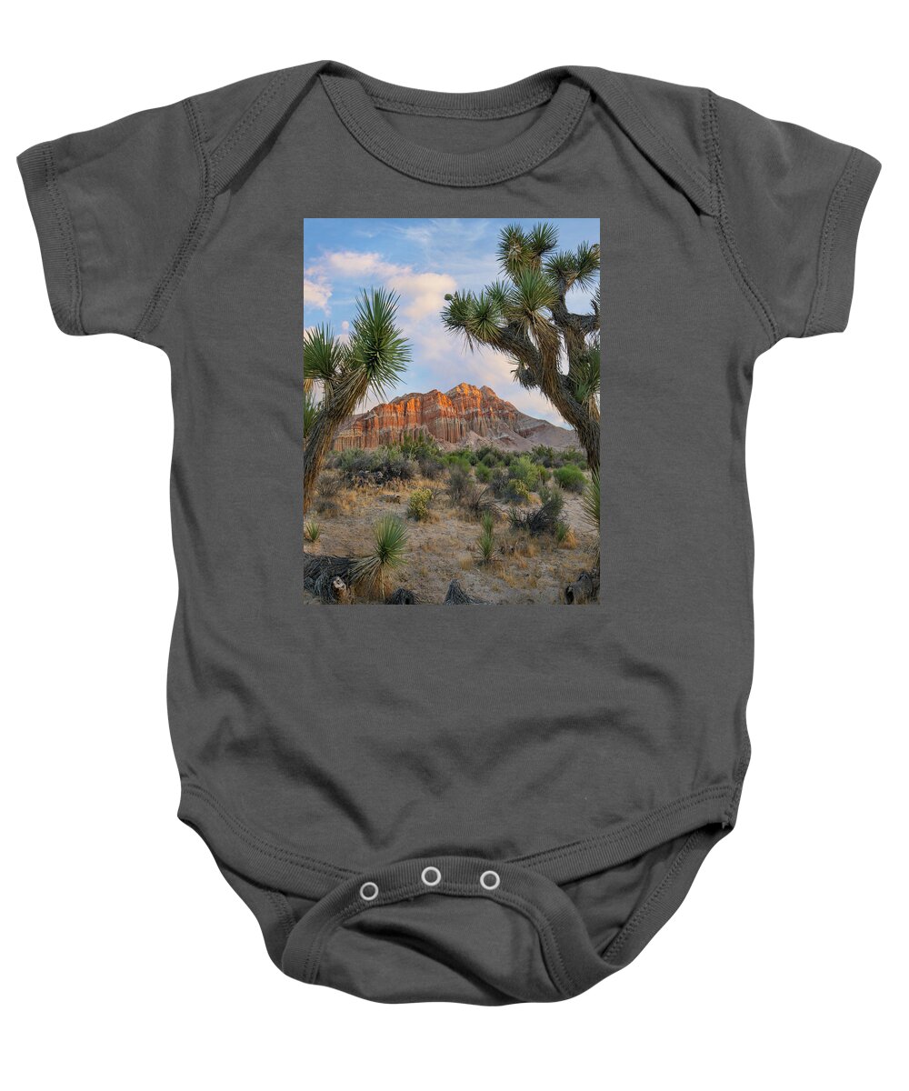 00571642 Baby Onesie featuring the photograph Joshua Tree And Cliffs, Red Rock Canyon State Park, California by Tim Fitzharris
