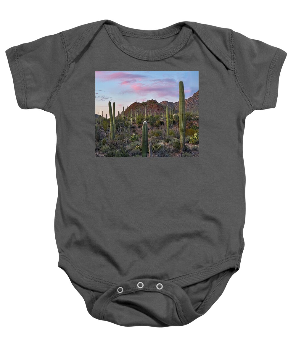 00557656 Baby Onesie featuring the photograph Saguaro, Tucson Mts, Saguaro National Park, Arizona #1 by Tim Fitzharris