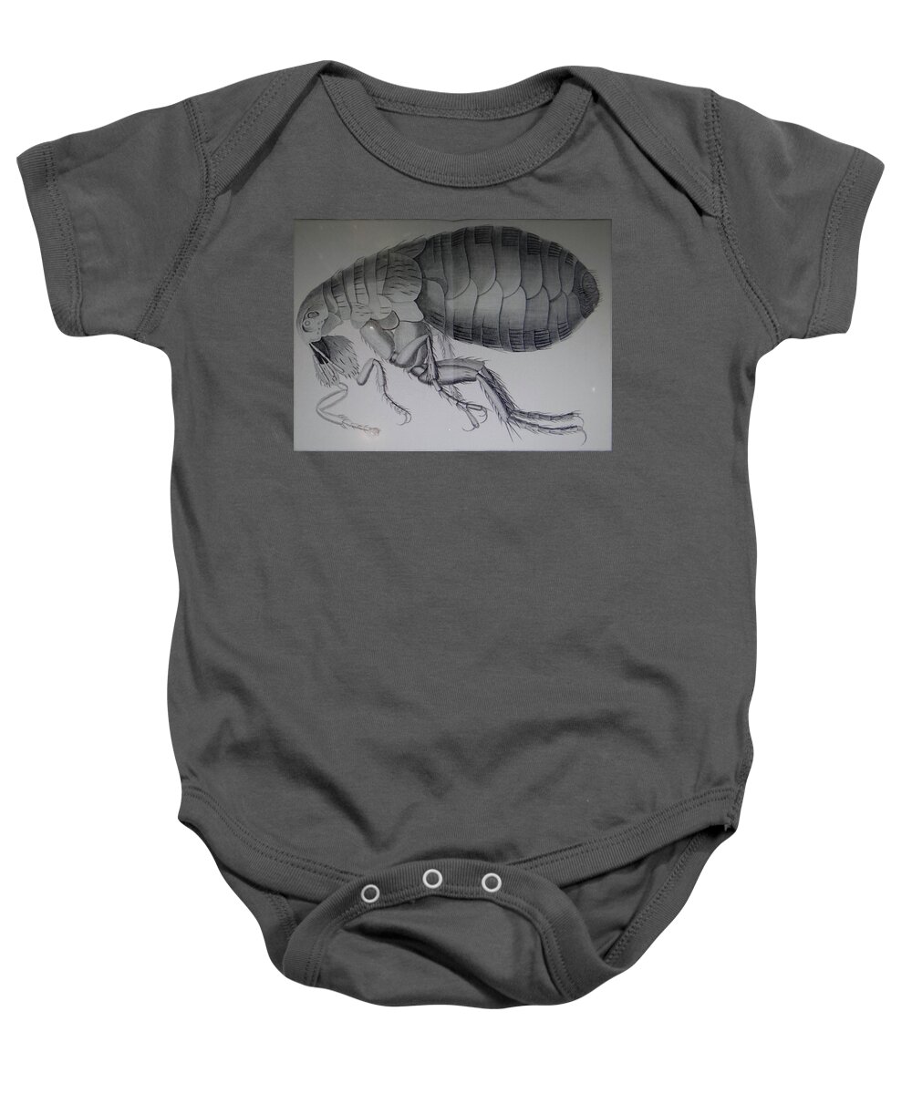 18th Baby Onesie featuring the photograph Scientific drawing of a flea #1 by Steve Estvanik
