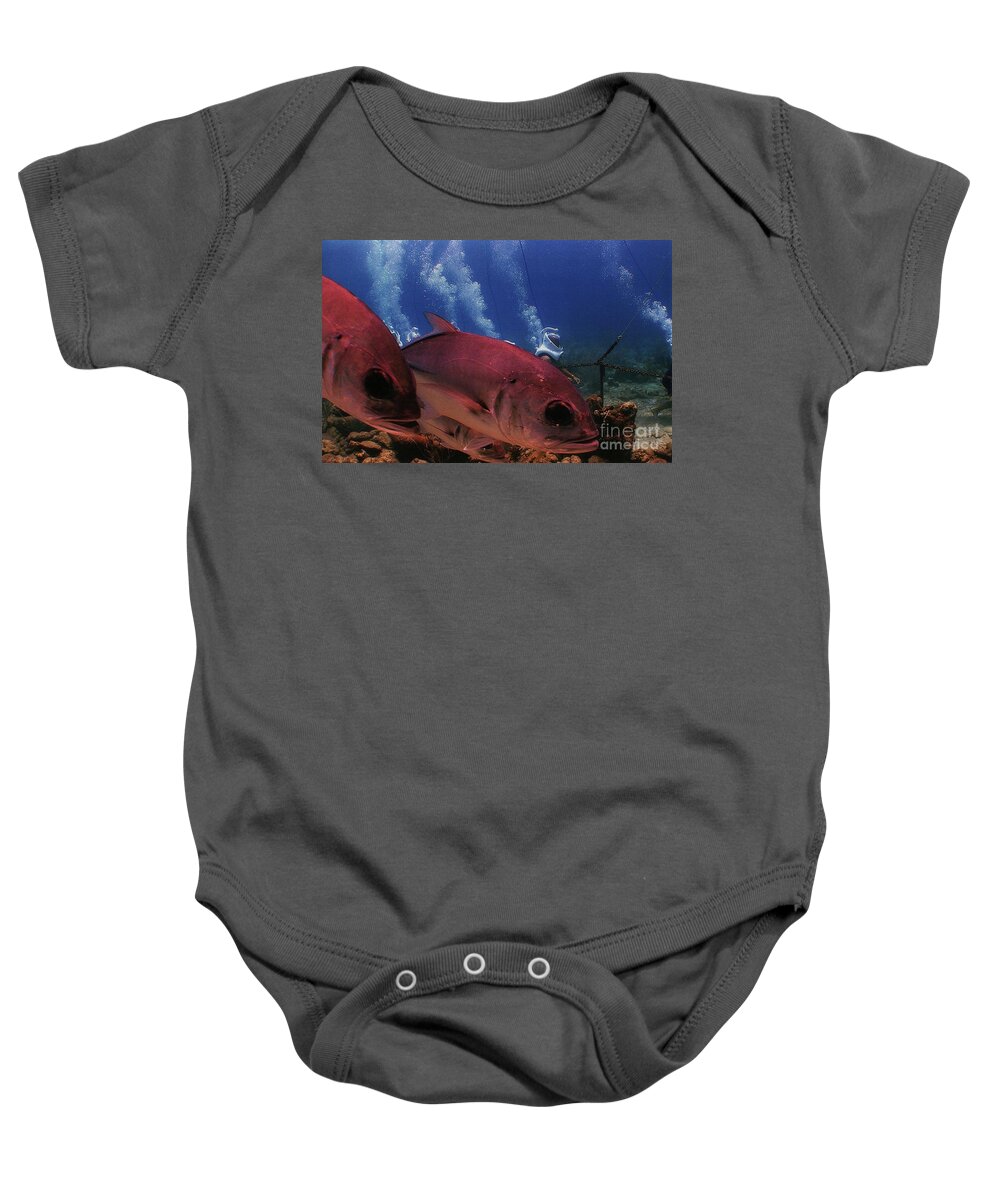 Swimming With The Fish In St. Thomas Baby Onesie featuring the photograph Swimming With The Fish In St. Thomas by Barbra Telfer
