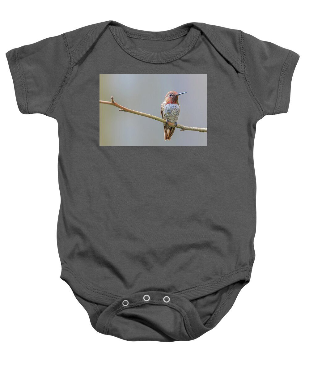 Animal Baby Onesie featuring the photograph Male Anna's Hummingbird by Briand Sanderson
