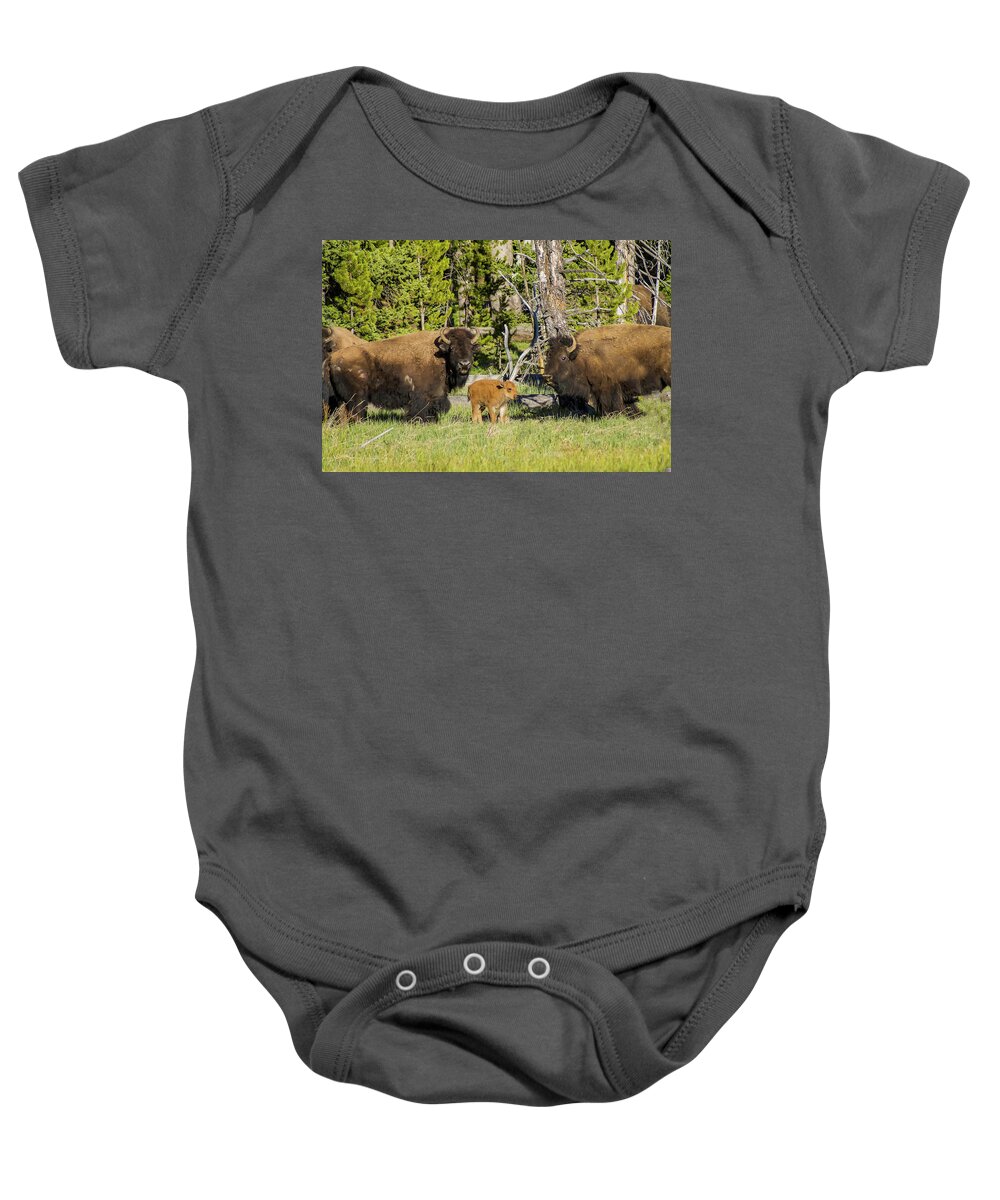 Bison Baby Onesie featuring the photograph American Bison #3 by Donald Pash
