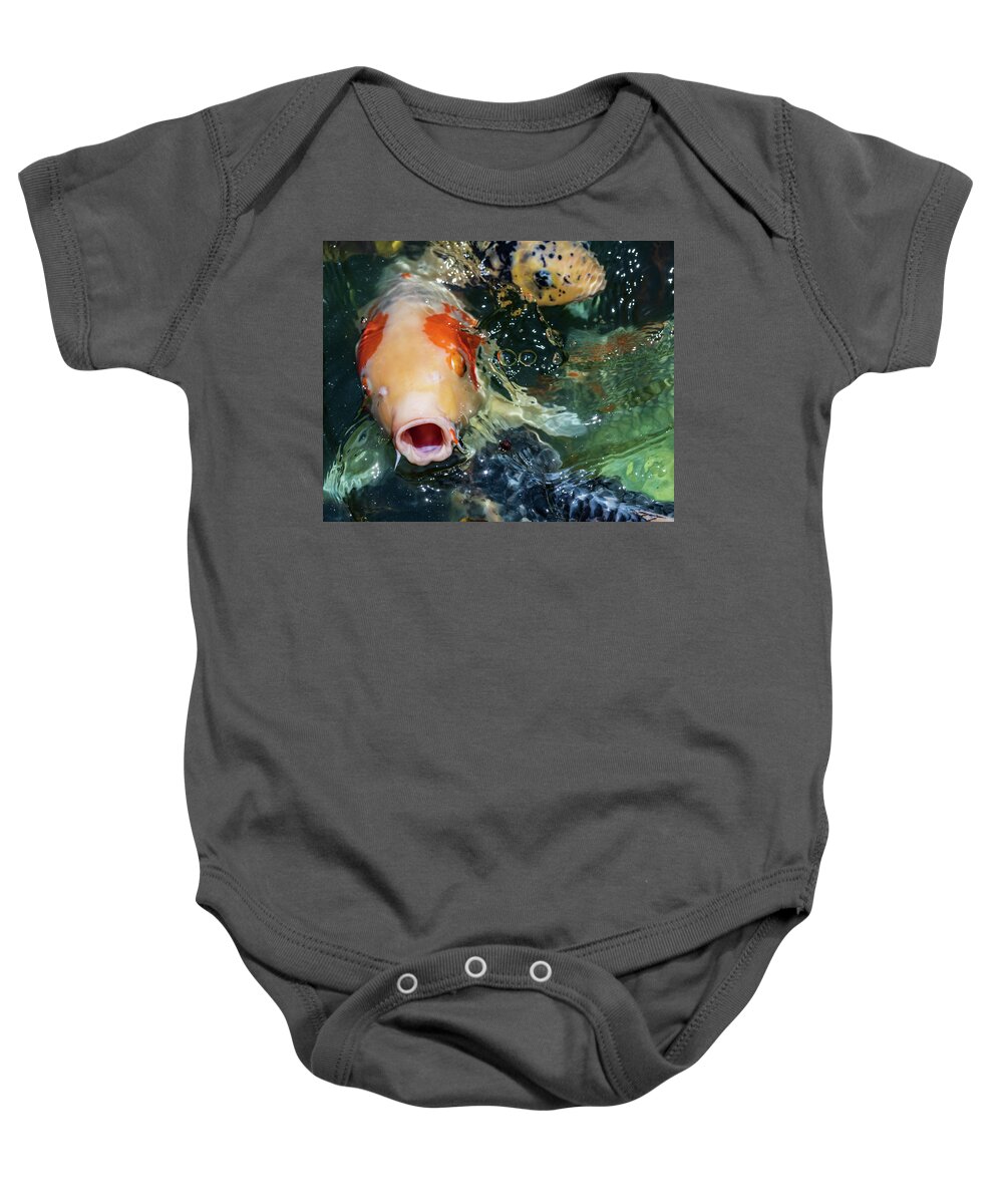 Animals Baby Onesie featuring the photograph Koi Fish Photography #1 by Amelia Pearn