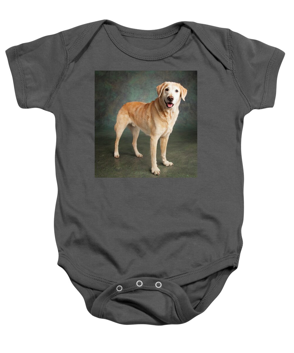 Photography Baby Onesie featuring the photograph Portrait Of A Labrador Mixed Dog #3 by Panoramic Images