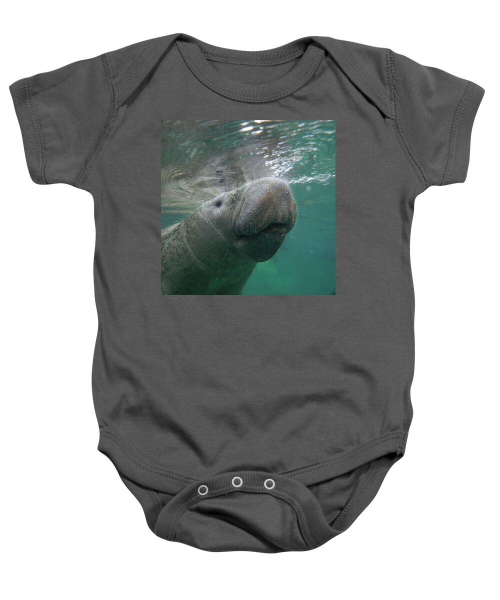 00544878 Baby Onesie featuring the photograph West Indian Manatee by Tim Fitzharris