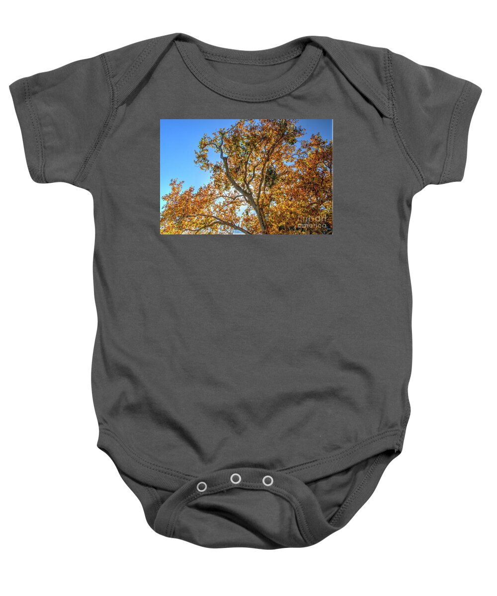 Fall Baby Onesie featuring the photograph Fall #4 by Marc Bittan