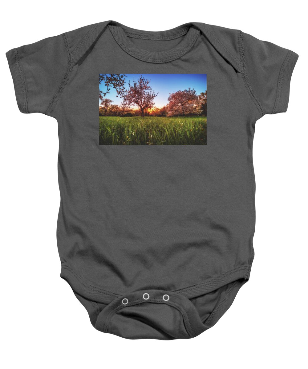 Sunset Baby Onesie featuring the photograph Sunset #5 by Marc Braner