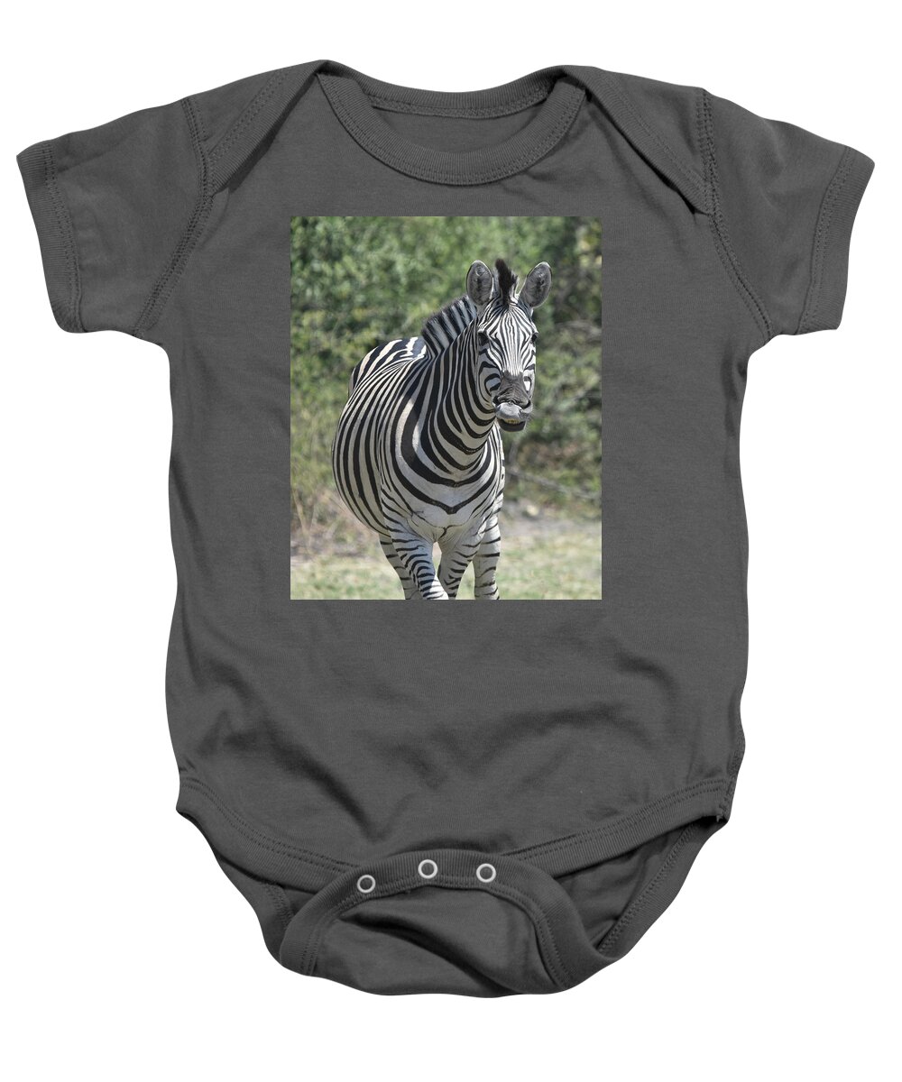 Zebra Baby Onesie featuring the photograph A Curious Zebra by Ben Foster