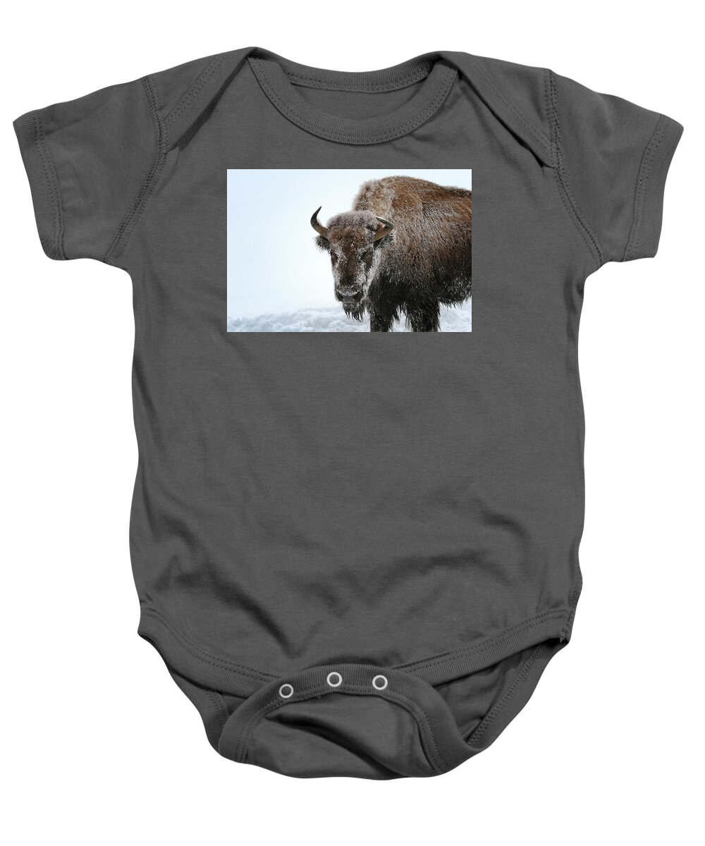 Yellowstone Baby Onesie featuring the photograph A Frosty Morn by Susan Rissi Tregoning