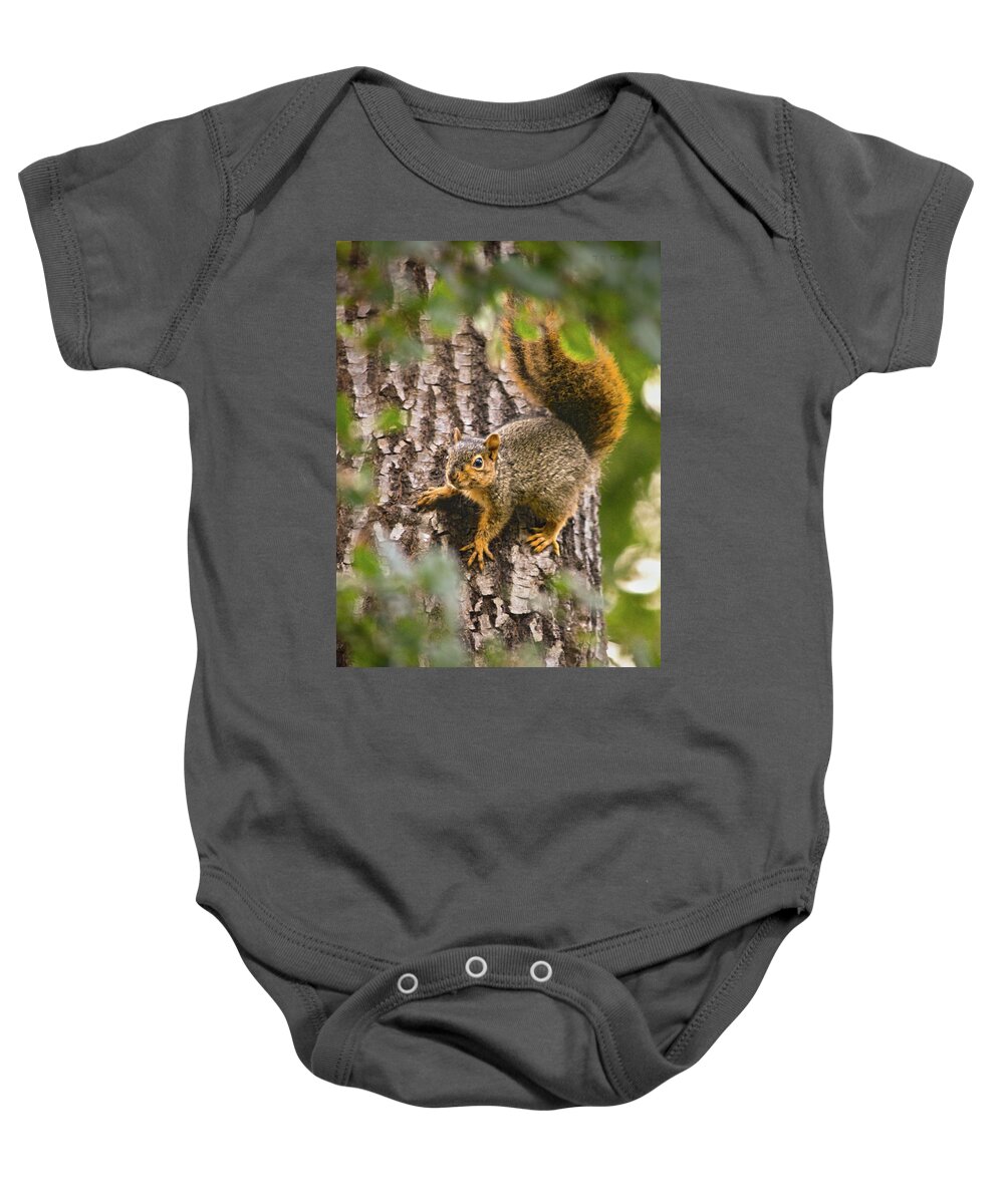 Nature Baby Onesie featuring the photograph Adorable Intruder, Editor's Favorite, National Geographic Your Shot by Brian Tada